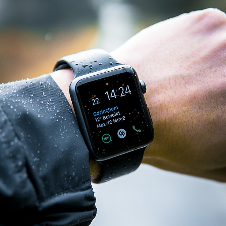 Смарт-часы Apple Watch Ultra 2 49mm Titanium with Trail Loop